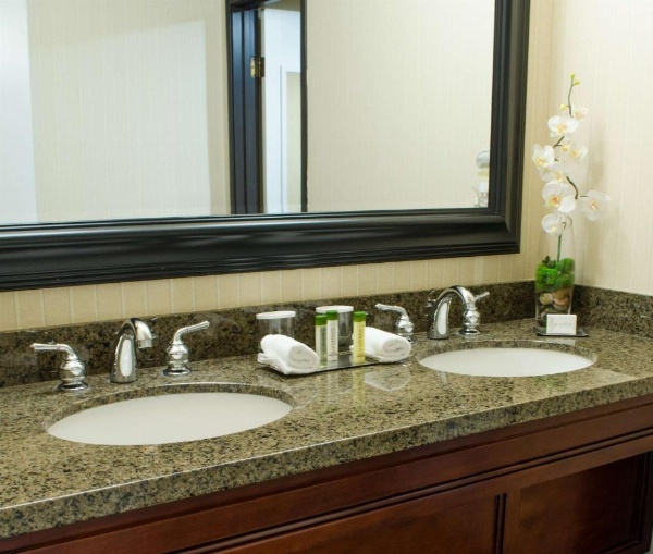 DoubleTree By Hilton Suites Tucson Airport image 22